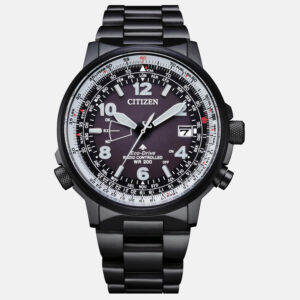 Pilot Acciaio